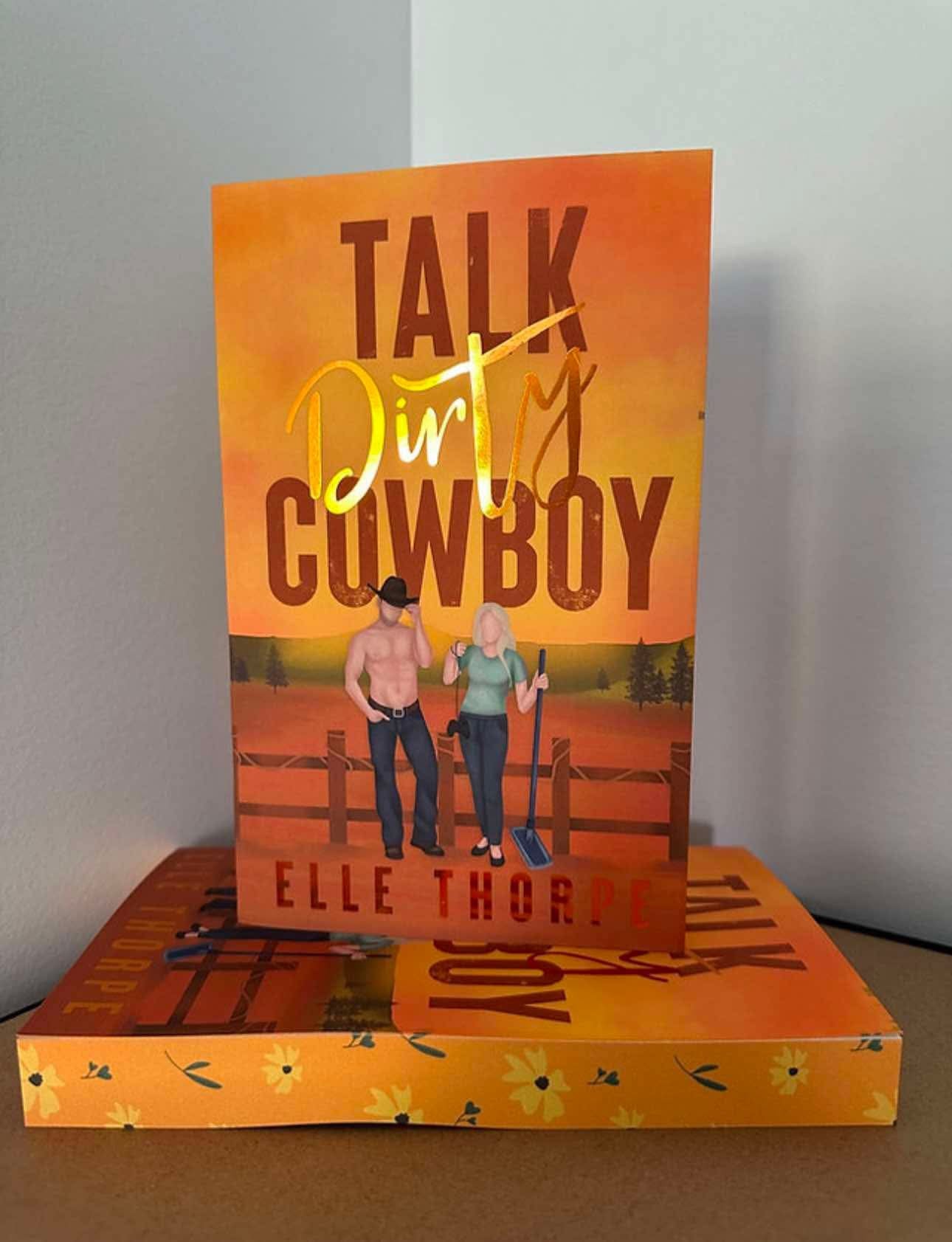Dirty Cowboy Illustrated Bundle. With Foiled Covers and Sprayed Edges.